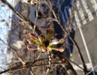 あっという間の３月