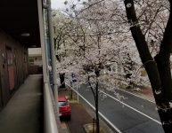 あっという間の３月