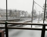 雪やこんこ